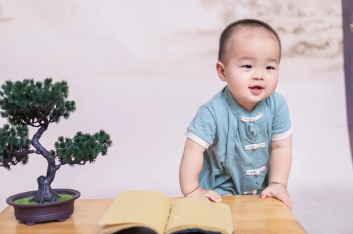 黄南可爱的企鹅宝宝